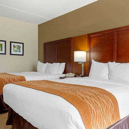 Comfort Inn&Suites Cordele Rom bilde